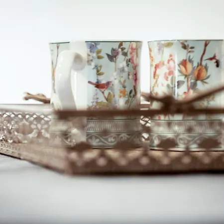 Eco Vegetariano Vegano Affittacamere