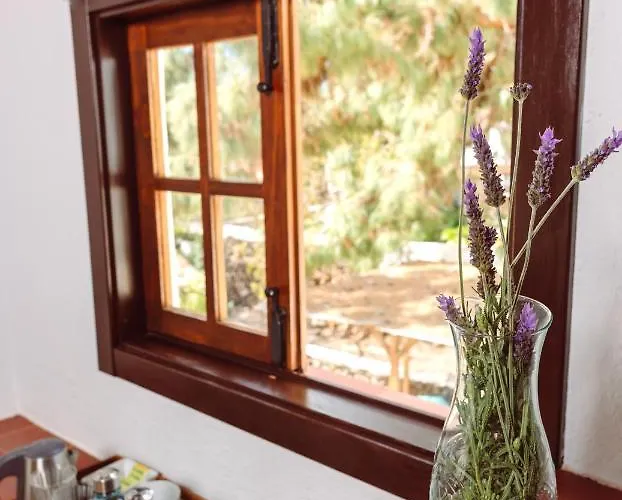 Eco Vegetariano Vegano Affittacamere Arona (Tenerife)