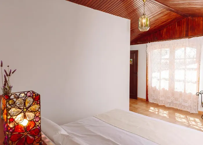 Affittacamere Eco Vegetariano Vegano