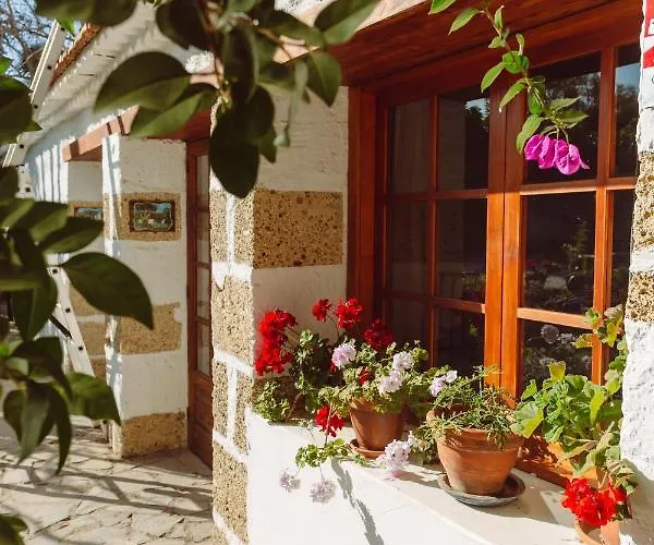 Affittacamere Eco Vegetariano Vegano Arona (Tenerife)