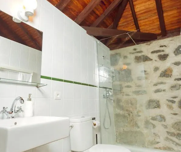 Eco Vegetariano Vegano