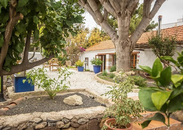 Eco Vegetariano Vegano 3*