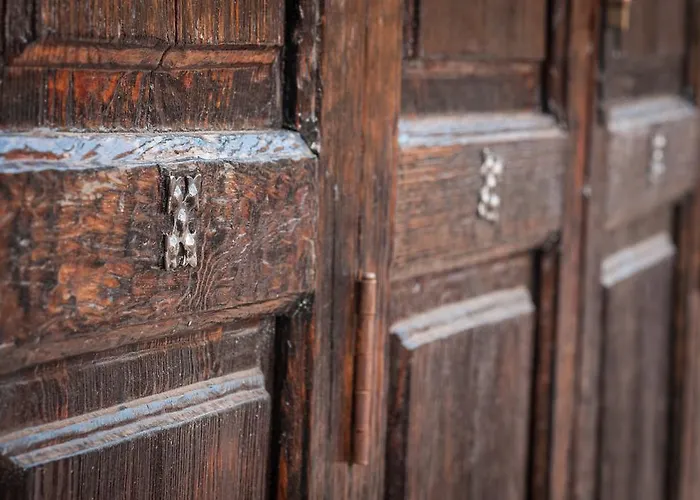 Eco Vegetariano Vegano