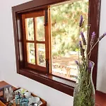 Ecoverode Emblematico Vegetariano Vegano Guest house Arona (Tenerife)