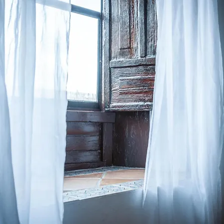 Ecoverode Emblematico Vegetariano Vegano 3*