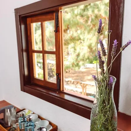 Ecoverode Emblematico Vegetariano Vegano Guest house Arona (Tenerife)