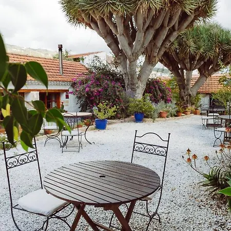 Ecoverode Emblematico Vegetariano Vegano Arona (Tenerife)