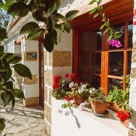 Guest house Ecoverode Emblematico Vegetariano Vegano Arona (Tenerife)