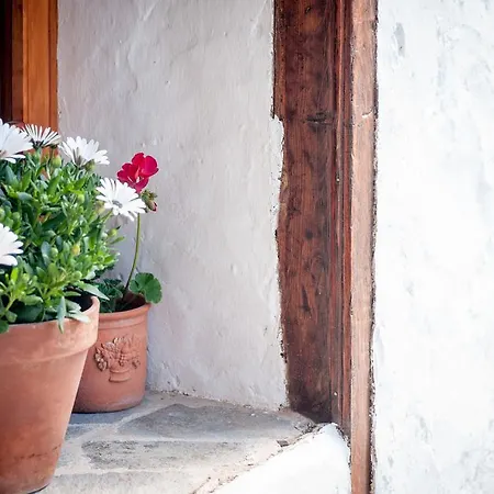 Guest house Ecoverode Emblematico Vegetariano Vegano 3*